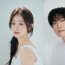 채서안 카카오 검색결과