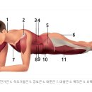 머스트휘트니스 이미지