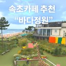 바다정원 | 속초 바다 바로 앞 대형 카페, 정원과 오션뷰에 감탄한 바다정원 후기