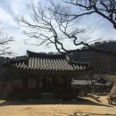 [인천_강화] 봄꽃이 흩날리는 봄나들이 명소, 전등사