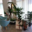 봉곡동230 이미지