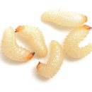 만년태양광발전소 이미지