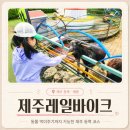 사람과자연 제주비오투 | 제주레일바이크 | 제주 동쪽 가볼만한곳 용눈이오름 동물 먹이주기 체험 내돈내산 후기