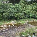 진고개계곡야영장 | 강릉 연곡의 자연 속 힐링 캠핑, 삼산야영장 솔직 후기 🏕️🌿