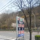 동물원주유소 네이버블로그