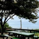 산당화가 피는집 이미지