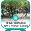 옻골다목적구장 이미지