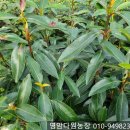 학송농장 이미지