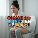 루이보스티 효능 변비 해결에 도움받은 솔직 후기