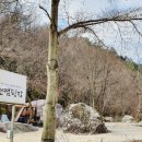 산속정원캠핑장 이미지