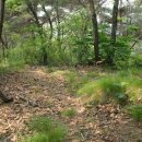 김화초등학교 이미지