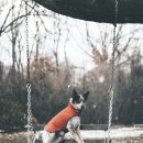 동물놀이터 화장실 이미지