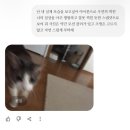 승현이네분식 | 5월