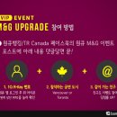 허니투어 이미지