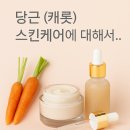 [뷰티리포터 비비드] 당근 (캐롯) 스킨케어에 대해서..