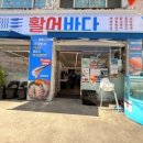 활어바다친구