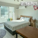 강원도 삼척 덕산해수욕장 숙소 콩앤삐오션뷰펜션 후기