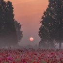 주식회사 새한 이미지