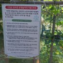 낙원농원식당 이미지