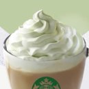 트리벅스 이미지