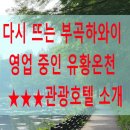 오뚝이백반 이미지