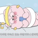 1급현대모터스 이미지