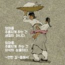 수류화개