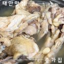 태안 현지인 맛집&amp;태안 몽산포 맛집 토종닭백숙 먹고 온 후기 '종가집'