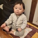 소소원 | 👶 아기랑 갈 수 있는 힐링 한방찻집! 울산 태화강국가정원 소소원 쌍화차 후기 🌿