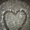 천일경로당 이미지