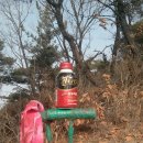 신하2 Daum카페