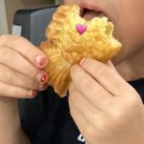비바체 피아노 음악학원 | 매일이 파티라는 비바체 음악학원| 목2동 피아노, 양화초 피아노