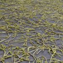 지리산금종영농조합법인 이미지