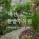 [대전]아기와 함께 실내 가볼만한 곳 한밭수목원 열대식물원