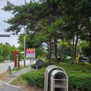 변산오토캠핑장 | 전북 부안 변산오토캠핑장 변산해수욕장 28번 후기