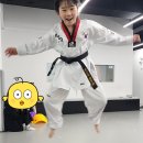 드림태권도 | 신문동 태권도 추천, 광고 없이 쌓인 진짜 후기 (신문초 / 스카이시티 태권도)