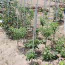 튼튼이농장 이미지