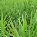 횡성군농업기술센터 이미지