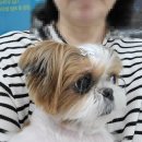 해와달동물병원 이미지