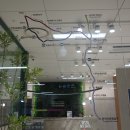 관악산 무장애숲길 이미지