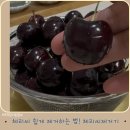 한손씨 | 이제는 체리 씨 한손으로 쉽게 빼세요! 체리씨제거기 후기(내돈내산 쿠팡추천템)