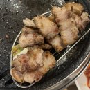 금관꽃돼지 이미지