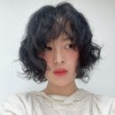 귀욤하개 이미지