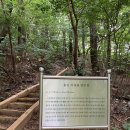 교리2길-3 이미지