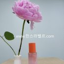한스샾 네이버블로그