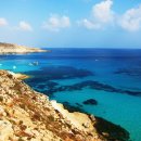 대가야문화누리 이미지