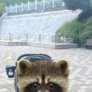 희망대공원 물놀이장-1 이미지