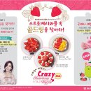 빈스빈스