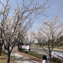 신방통감자탕 이미지