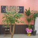 더케이호텔경주 이미지